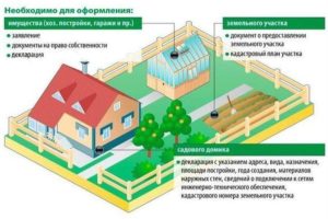Зачем Нужно Приватизировать Дачный Домик