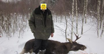 Штраф За Убитого Лося Без Лицензии В Закрытие Охоты 2020 Группой Лиц В Штраф За Убитого Лося Без Лицензии В Закрытие Охоты 2020 Группой Лиц В